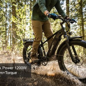 HAOQI Eagle Long Range Electric Bicycle