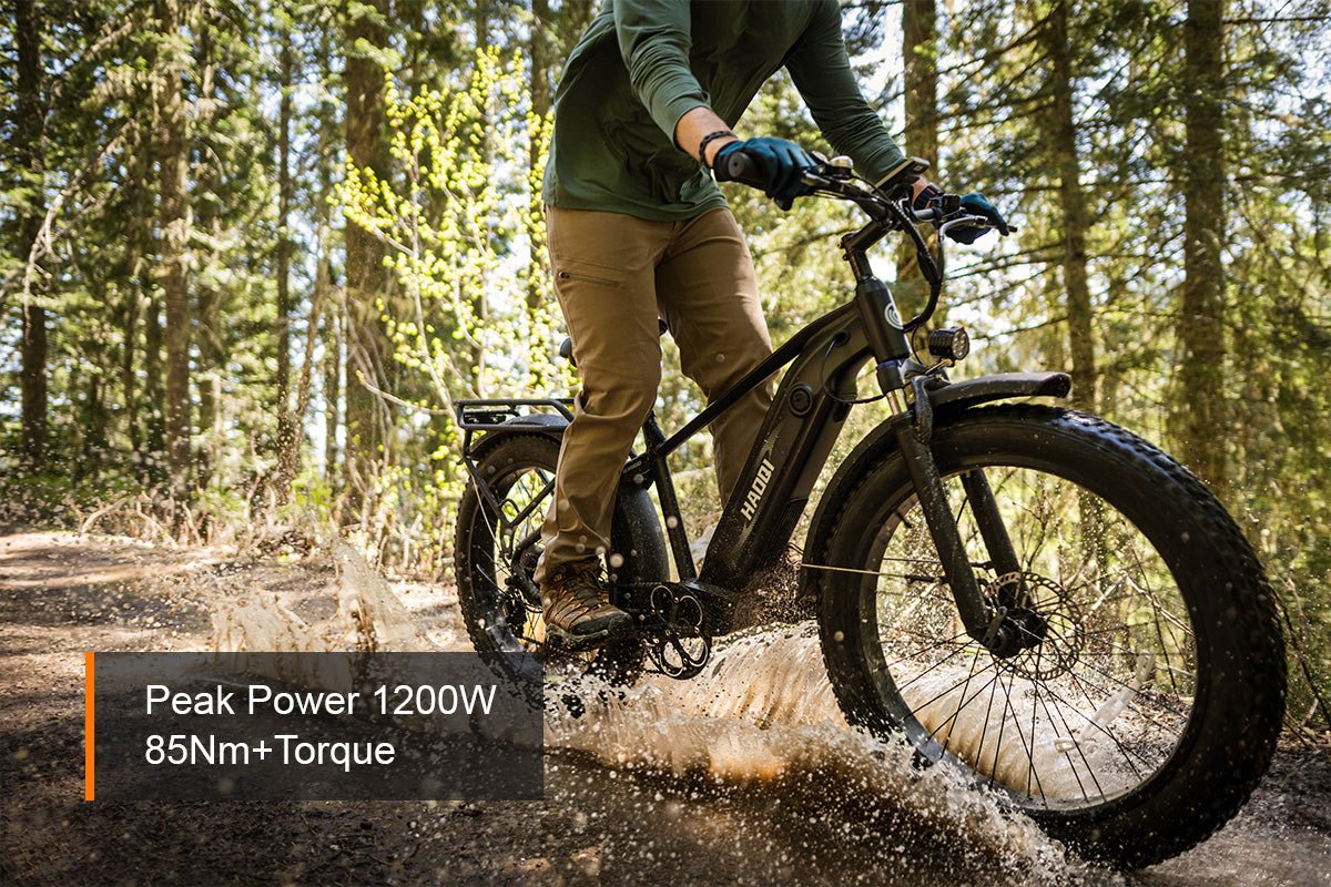 HAOQI Eagle Long Range Electric Bicycle