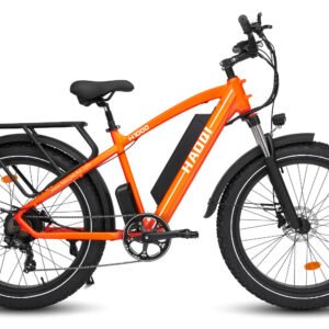 HAOQI Leopard Pro Fat Tire Electric Bike