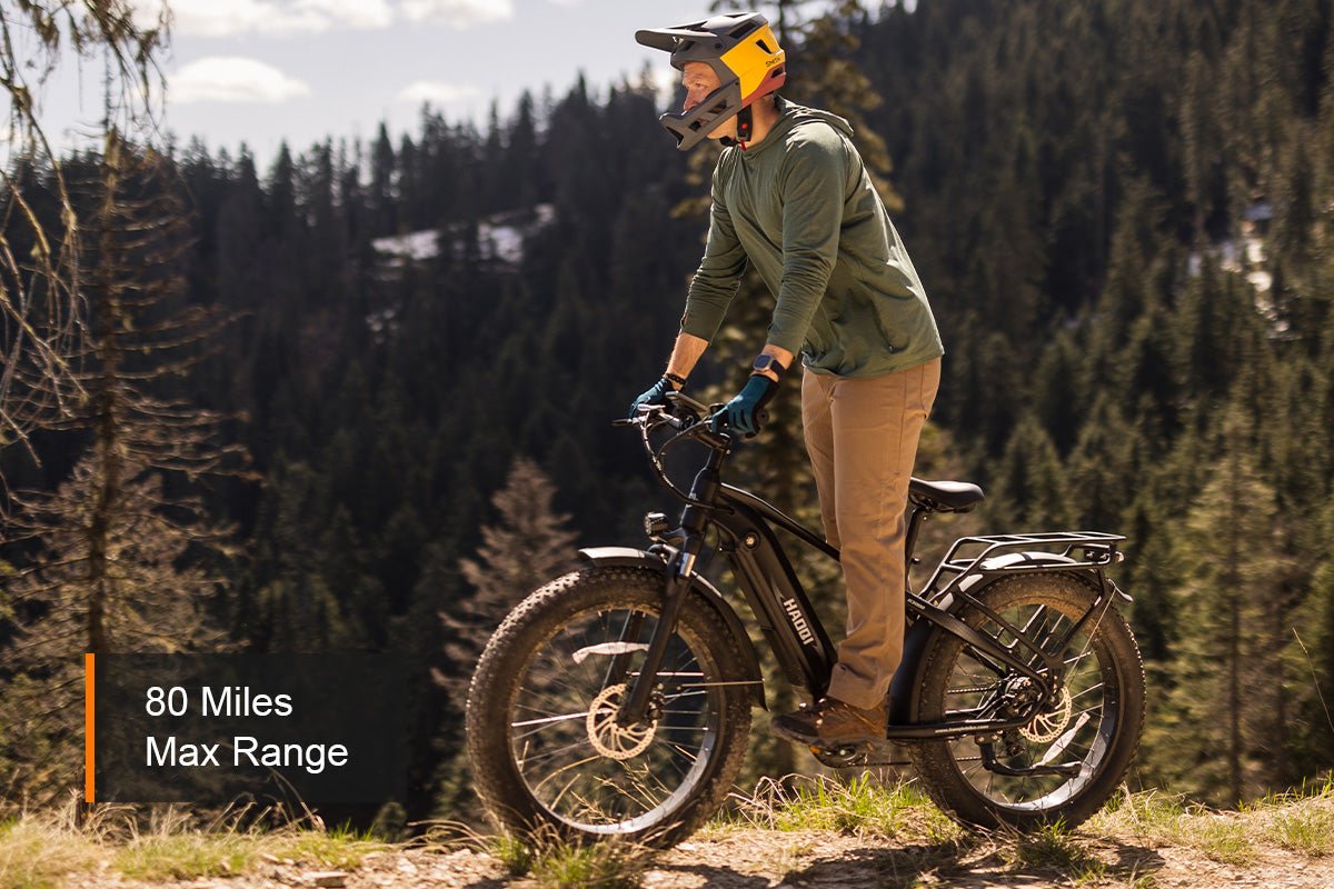 HAOQI Eagle Long Range Electric Bicycle - Image 5