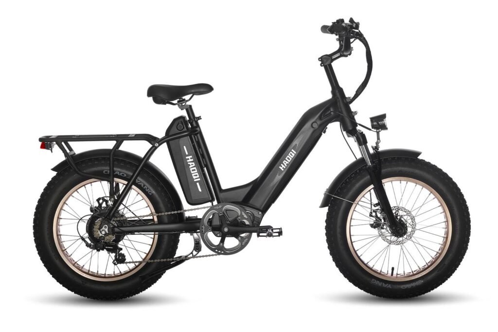 HAOQI Antelope Pro Cargo Electric Bike